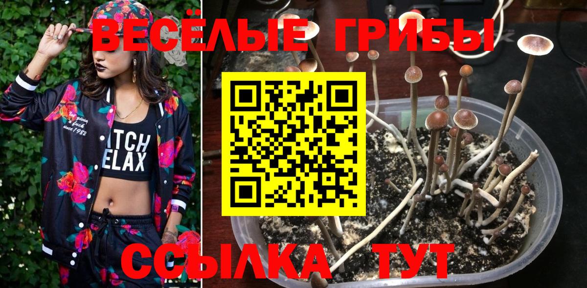 Галлюциногенные грибы MAGIC MUSHROOMS  Вход с VPN  Галлюциногенные грибы GOLDEN TEACHER  Скопин 