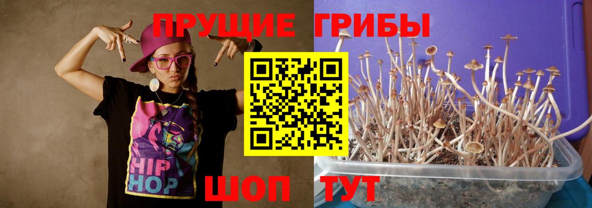 Псилоцибиновые грибы мицелий Скопин